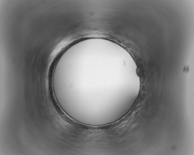 X0000091210296200708091121