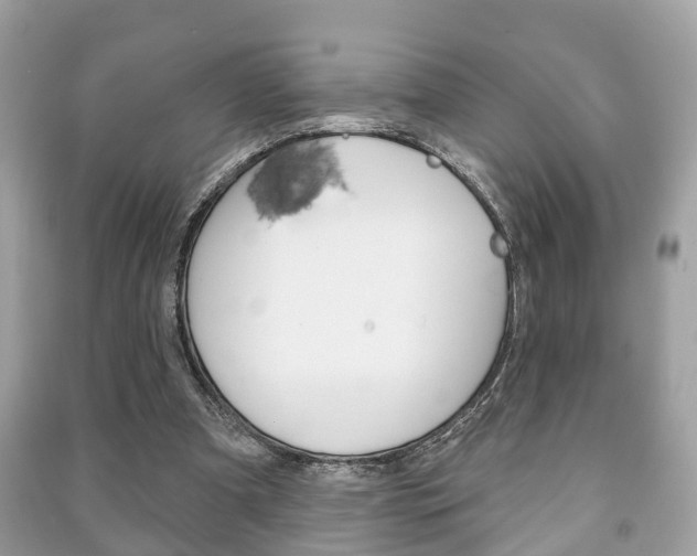 X0000091210297200708091121