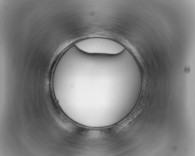 X0000091210298200708091121