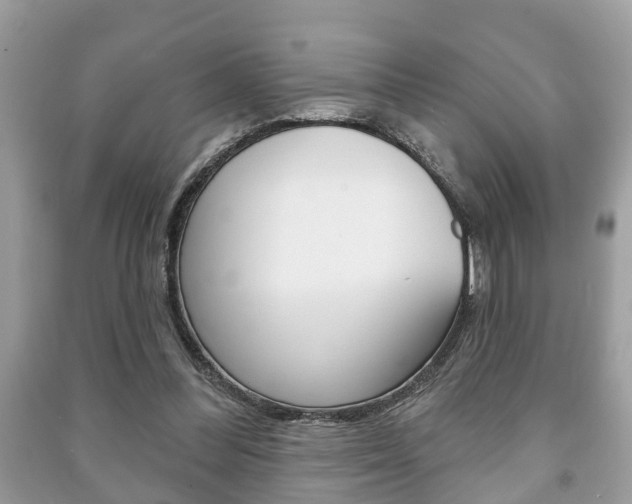 X0000091210300200708091121