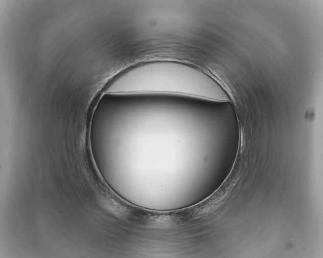 X0000091210301200708091121