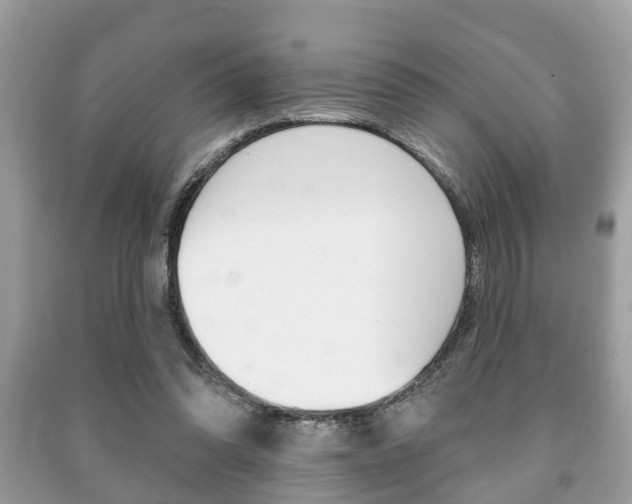 X0000091210302200708091121