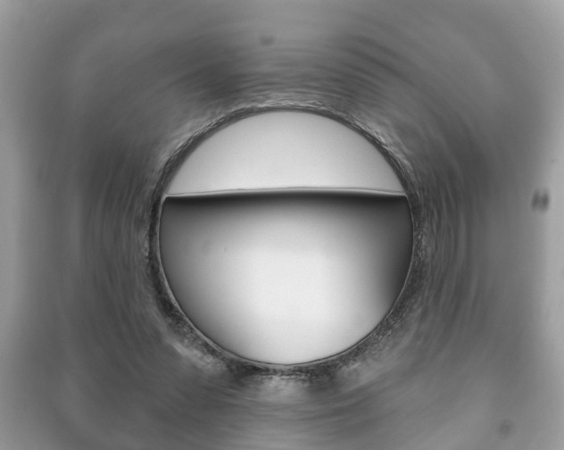 X0000091210303200708091121