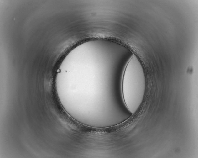 X0000091210304200708091121