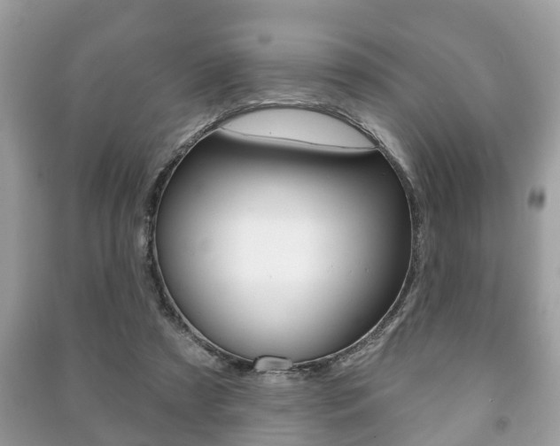 X0000091210305200708091121