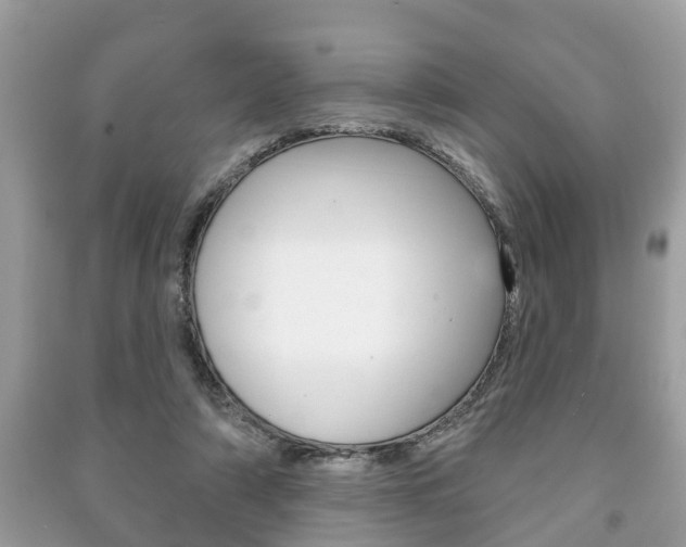 X0000091210306200708091121
