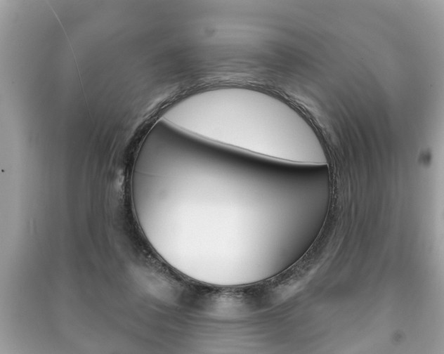 X0000091210308200708091121