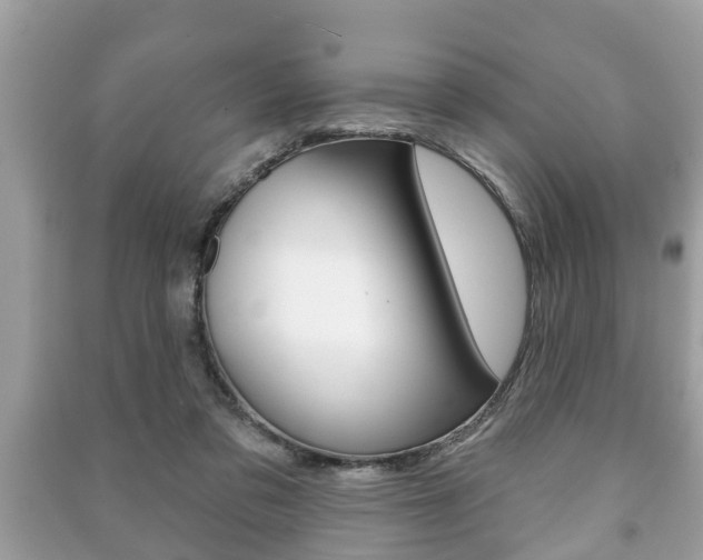 X0000091210309200708091121