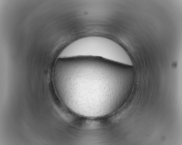 X0000091210311200708091121