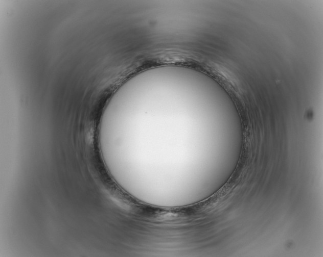 X0000091210315200708091121
