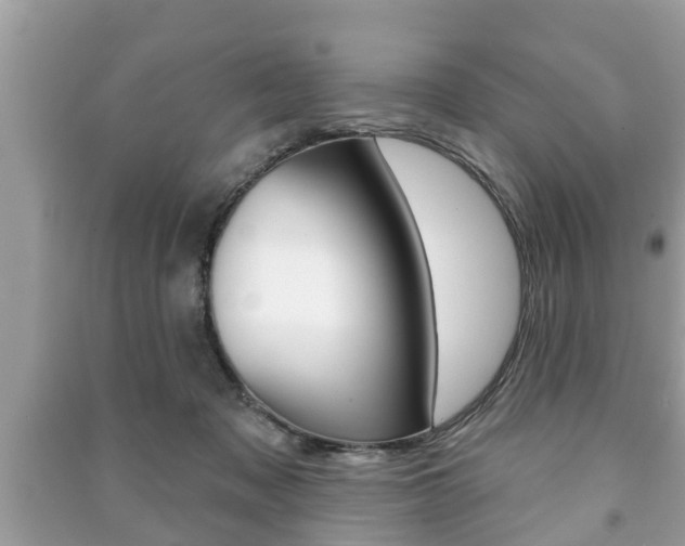 X0000091210317200708091121