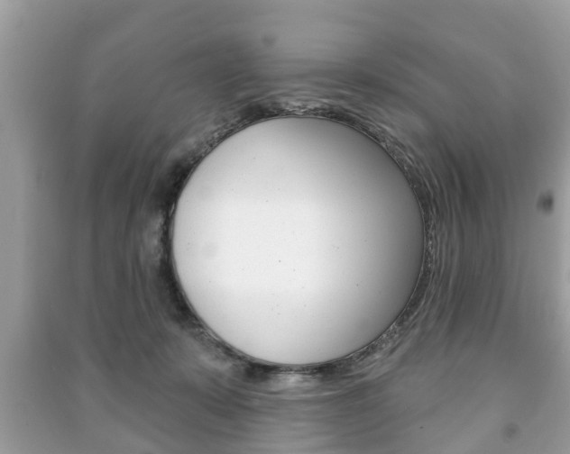 X0000091210319200708091121