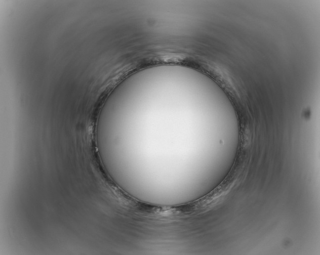 X0000091210321200708091121