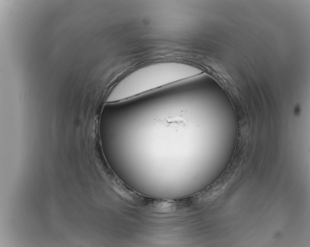 X0000091210325200708091121
