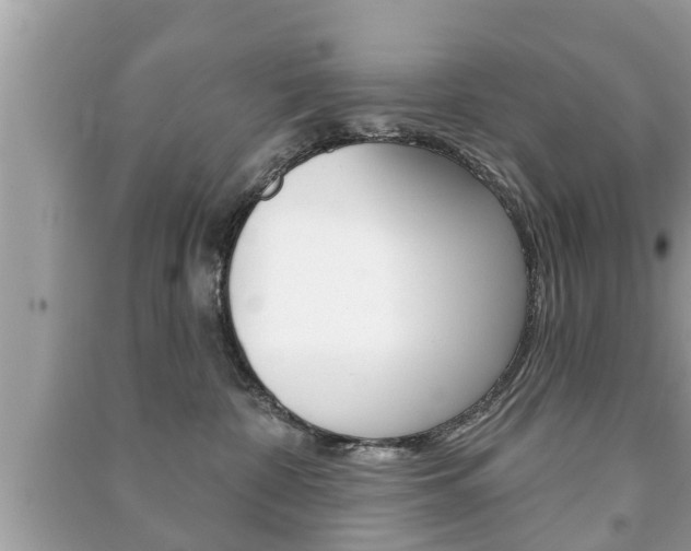 X0000091210332200708091121