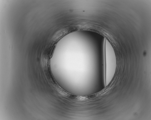X0000091210333200708091121