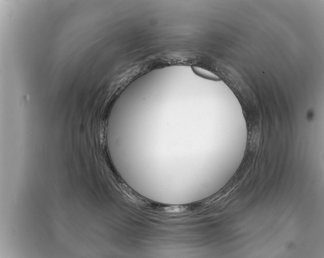X0000091210335200708091121