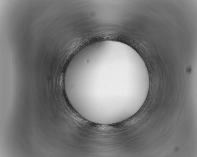 X0000091210336200708091121