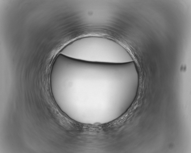 X0000091210337200708091120