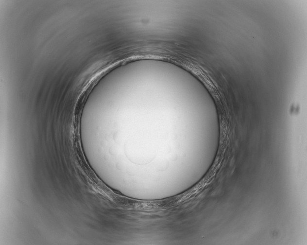 X0000091210338200708091120