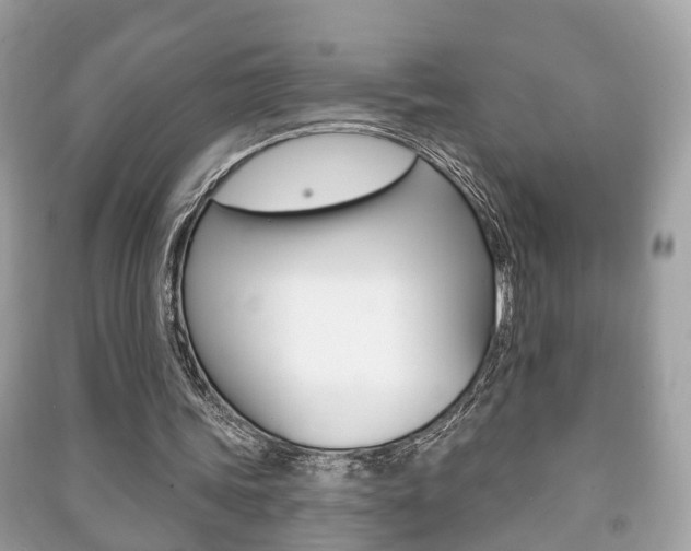 X0000091210339200708091120