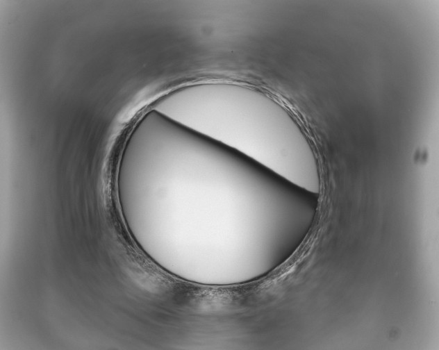 X0000091210343200708091120