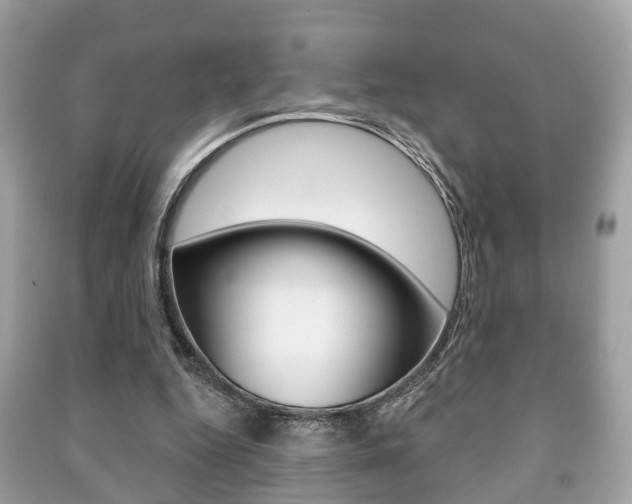 X0000091210344200708091120