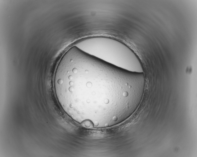 X0000091210347200708091120