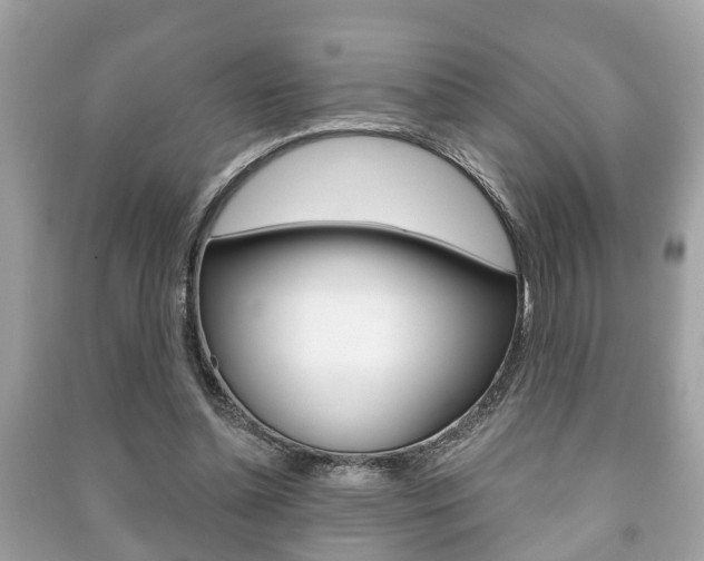 X0000091210348200708091120