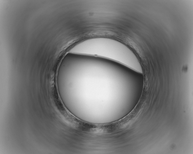 X0000091210356200708091120