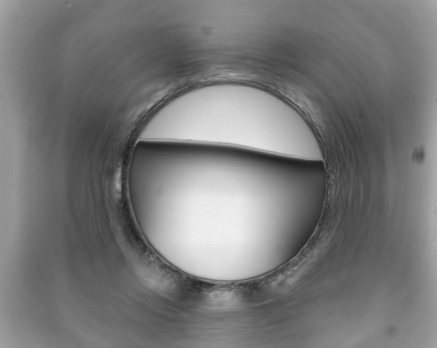 X0000091210358200708091120