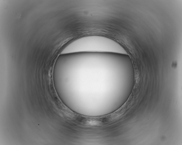 X0000091210360200708091120