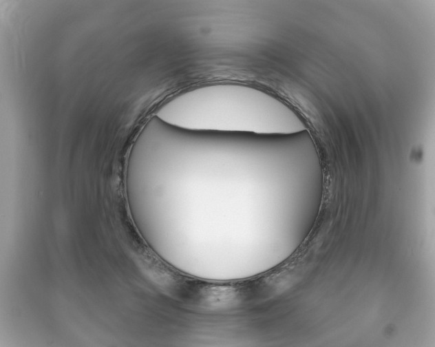 X0000091210361200708091120