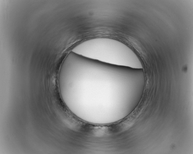 X0000091210363200708091120