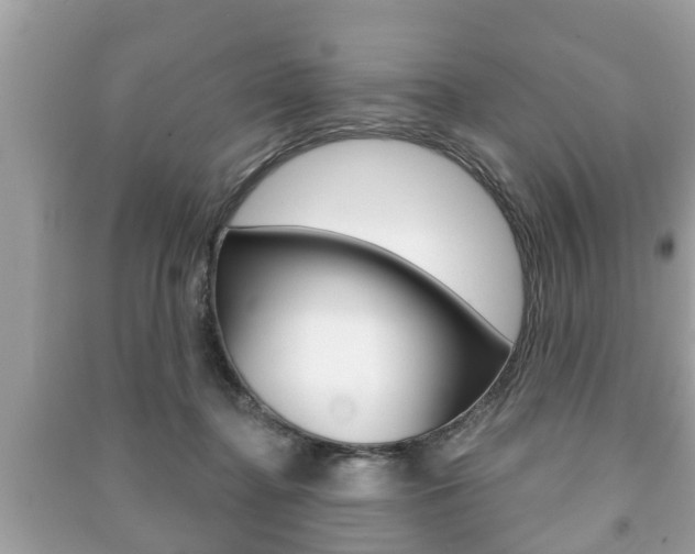 X0000091210364200708091121