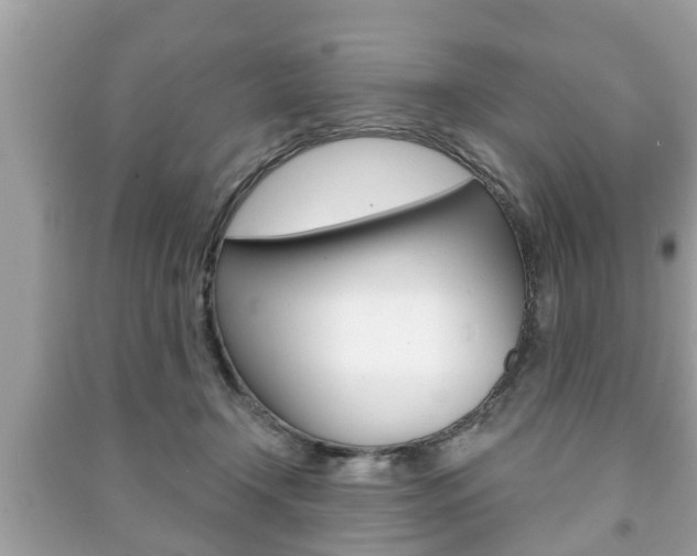 X0000091210366200708091121