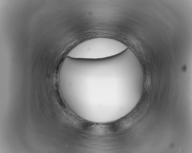 X0000091210367200708091121