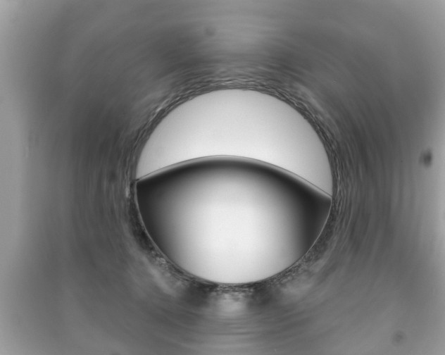 X0000091210368200708091121