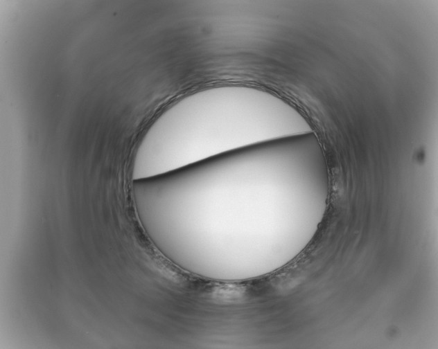 X0000091210369200708091121