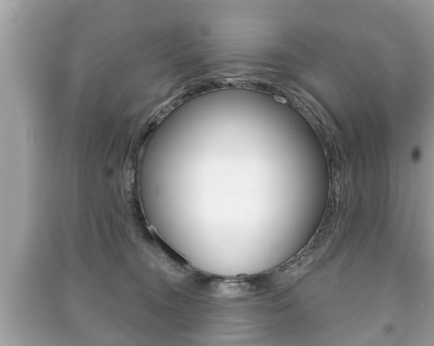 X0000091210372200708091121