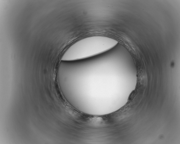 X0000091210374200708091121
