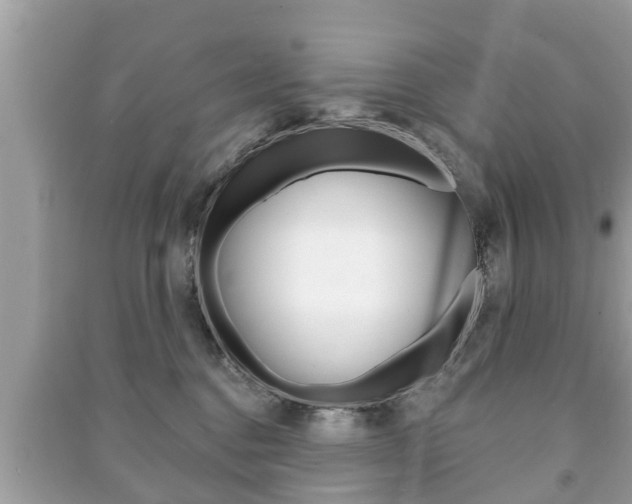 X0000091210376200708091121