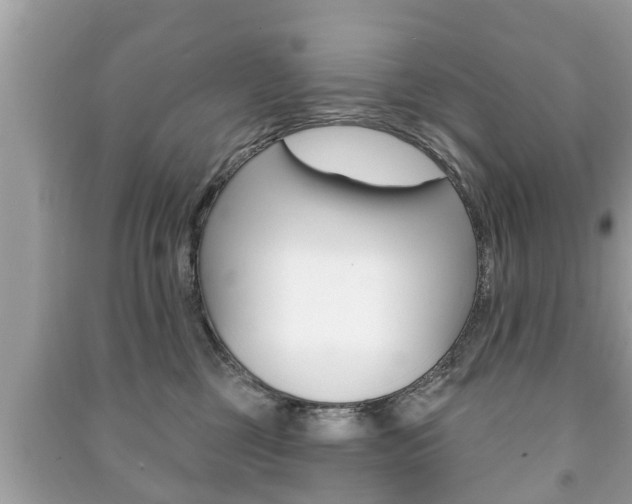 X0000091210377200708091121