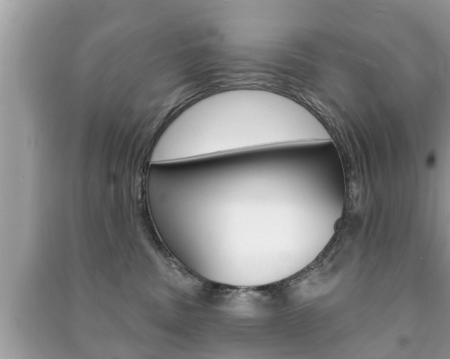 X0000091210379200708091121