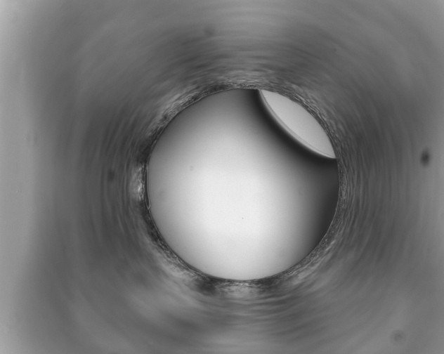 X0000091210383200708091121