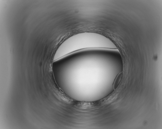 X0000091210384200708091121
