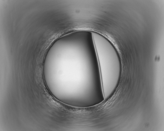 X0000091210385200708091120