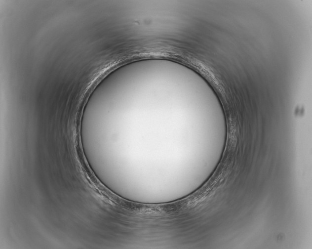 X0000091210386200708091120