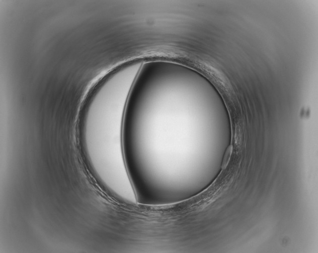 X0000091210388200708091120