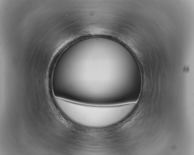 X0000091210391200708091120